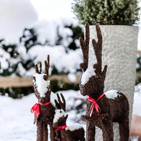 Appartamento Hohenwarter *